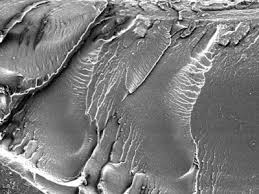 Image result for alloy edx micrograph