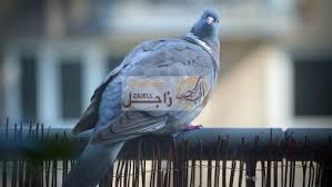 متى يتم اتخاذ اجراءت السلامه داخل الموقع قبل ام بعد الانشاء؟ وماهى الاساسات التى يجب توافرها قبل البدء بالعمل فى المواقع الانشائية؟ Ù…Ø¹Ù„ÙˆÙ…Ø§Øª Ø¹Ù† Ø§Ù„ØªÙƒØ§Ø«Ø± ÙˆØ§Ù„ØªØ²Ø§ÙˆØ¬ ÙÙŠ Ø§Ù„Ø­Ù…Ø§Ù… Ø§Ù„ØªØ²Ø§ÙˆØ¬ ÙˆØ§Ù„ØªÙƒØ§Ø«Ø± Ù†Ù‚ÙˆÙ… Ø§Ù„ÙŠÙˆÙ… Ù…Ù† Ø®Ù„Ø§Ù„ Ù…ÙˆÙ‚Ø¹ Ø²Ø§Ø¬Ù„