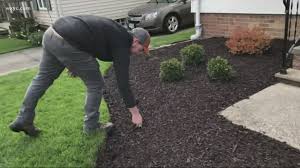Enjoy your outdoor living space with a greener, healthier lawn. Diy Landscaping How To Avoid The Biggest Lawn Mistakes That Northeast Ohioans Frequently Make Wkyc Com