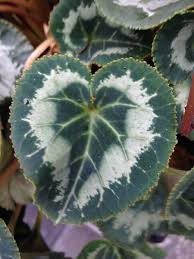 love-friendliness_01