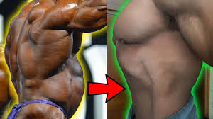 I watch more plates more dates and his recent video about his abs mainly talks about different ways to flex them. More Plates More Dates Youtube Channel Analytics And Report Powered By Noxinfluencer Mobile