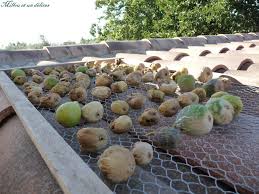Comment Faire Secher Les Figues Millou Et Un Delices