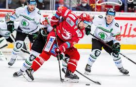 Czechy hokej typy bukmacherskie | spotkanie opublikowano: Ocelari Trinec Vs Mlada Boleslav Preview A Tipy Na Sazeni