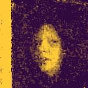 Craziest place I ever walked into.