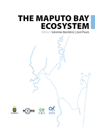 Image result for Oncocalyx bolusii