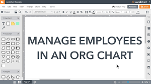 Lucidchart Tutorials Manage And Format Employees In An Org Chart