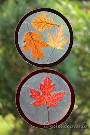 Kastanien, eicheln, nussschalen und blätter können sehr dekorativ. Basteln Im Herbst Mit Kindern Fensterbilder Mit Echten Herbstblattern