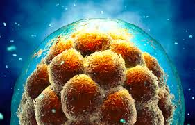 Cinas_World official leaks 2025 collection