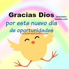 1 day ago · about press copyright contact us creators advertise developers terms privacy policy & safety how youtube works test new features press copyright contact us creators. Gracias Dios Por Regalarme Este Dia Oracion De La Manana Oraciones De La Familia