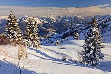 Monte zoncolan befindet sich in der provinz udine (italien. Zoncolan By Estock Photo Stock Photo And Image Search