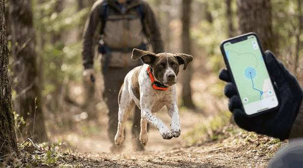 5 Best Dog GPS Trackers 2026: Tested & Ranked – SpaceHawk GPS
