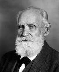 The Second International Congress of Neurology