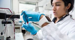 HSI Scholars Program: Alumni