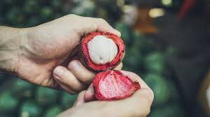 Mengutip healthline, buah manggis termasuk buah yang rendah kalori namun juga memiliki banyak nutrisi yang penting. 10 Manfaat Kulit Manggis Untuk Kesehatan Dan Kecantikan Hot Liputan6 Com