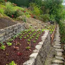 15 Charming Garden Design Ideas With Stone Edges And Raised Beds Sloped Garden Sloped Backyard Terrace Garden Design