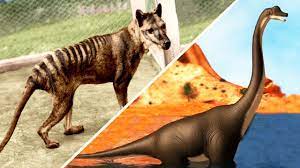 Extinct Animals That May Still Be Alive Youtube