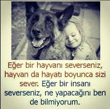 Bizde Bilmiyoruz Hayvan Gercek Dostlar Duygular