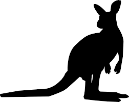 Download Kangaroo Silhouette Animal Free Vector Graphic On Pixabay