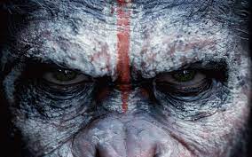 Caesar Planet Of The Apes Wallpapers Wallpaper Cave 2015 toyota fuel cell sedan wallpaper. caesar planet of the apes wallpapers