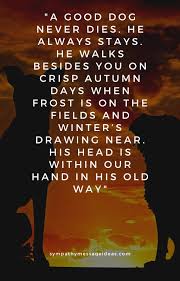 We did not find results for: 57 Heartbreaking Loss Of Dog Quotes Images Comforting Ways To Remember Your Pal Sympathy Card Messages