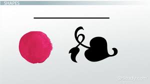 Find & download free graphic resources for organic shapes. 2 Dimensional Definition Shapes Art Video Lesson Transcript Study Com