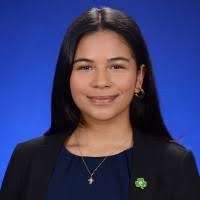 400+ "Zambrano" profiles