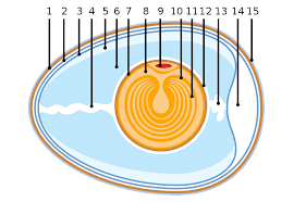 Der gehalt an dioxin hat zwar. Informationen Zu Dioxin Sind Gut Versteckt Data Blog