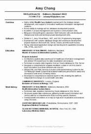 Objective For Resume It Entry Level