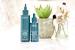 Dry Or Powder Shampoo