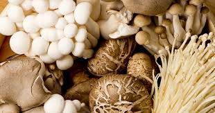 Masukkan akar teratai, cendawan telinga kera dan sengkuang cina. Jenis Jenis Cendawan Yang Boleh Di Makan