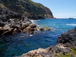 Image result for Ferraria