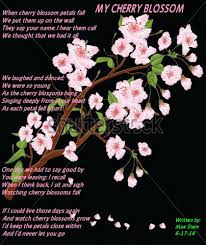 My Cherry Blossoms Nature Poems Nature Poem Cherry Blossom Blossom