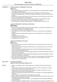A property manager is hired by a property investor or landlord to manage the daily operations of rental properties. Assistant Property Manager Resume Samples Velvet Jobs