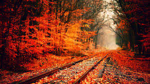 Cool laptop wallpapers desktop hd wallpapers hd laptop wallpapers laptop aesthetic wallpapers tumblr laptop wallpapers. Autumn Aesthetic Laptop Wallpapers Top Free Autumn Aesthetic Laptop Backgrounds Wallpaperaccess