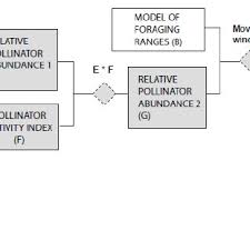 flow chart outlining the setup of the pollination model