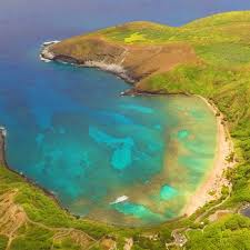 Hanauma bay snorkeling is so popular because of the wide variety of species in the bay. Extended Hanauma Bay Snorkeling Tours Hanauma Bay Tours