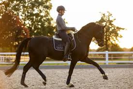 Підписуйтеся на його обліковий запис, щоб переглянути всі світлини та відео. Redecker Patrick Heckl