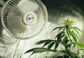 Check spelling or type a new query. Complete Ventilation Guide For Your Cannabis Grow Room Rqs Blog