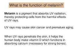 Skin Color Ppt Download