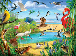 Maybe you would like to learn more about one of these? R Christopher Vest Florida Birds 1000 Teile Sunsout Puzzle Online Kaufen