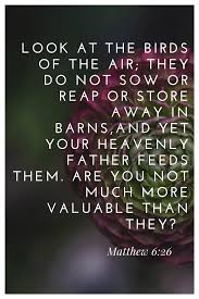 Look At The Birds Of The Air Niv Matthew 6 26 Niv My Most Favorite Bible Verse Helps To Calm My Spirit And Put Life Problems Into Perspectiv Scripture Quotes Scripture Verses Spiritual Quotes