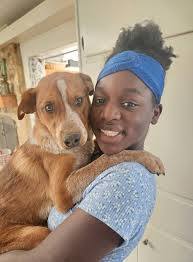 Mommies , anyone selling this long reindeer antlers