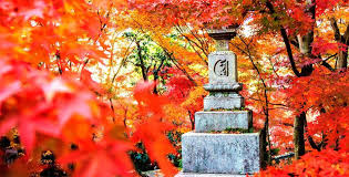 Autumnal Equinox Day In Japan In 2020 Office Holidays In 2020 Equinox Day Autumnal Equinox Office Holiday