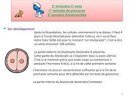 Grossesse semaine par semaine : Ppt La Naissance Powerpoint Presentation Free Download Id 2277663