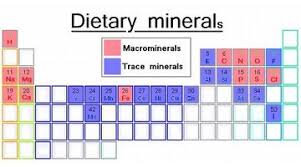 The Relationship Between A Gram Milligram And Microgram