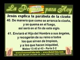 La Promesa Para Hoy Jesus Explica La Parabola Del El Trigo Y La Cizana Mayo 05 Parte 2 2 Www Estereovida I Promesa Promesas De Dios Bendiciones Para Ti