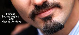 The viking beard will make you look masculine and strong. Most Popular Goatee Styles Top 15 Men S Goatee Beard Styles In 2021