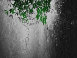 Find the best animated rain wallpapers for desktop on getwallpapers. Gif Wallpaper Rain Nice