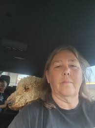 Percy:Nuffin to see here mom. I swear Eros said I could sleeps