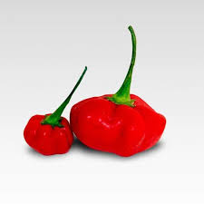 If you bought the game, you can get atomic heart for free from Atomic Starfish Pepper Joe S
